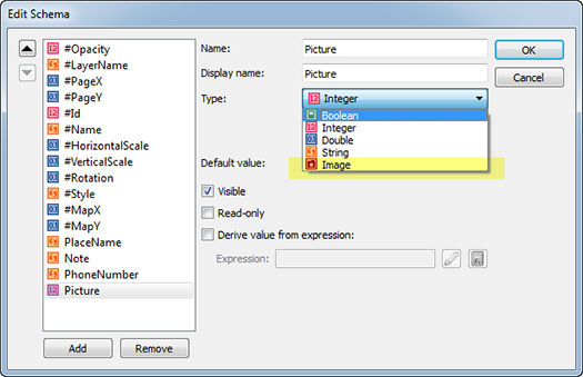 Edit Schema with a new data type "Image Data Type